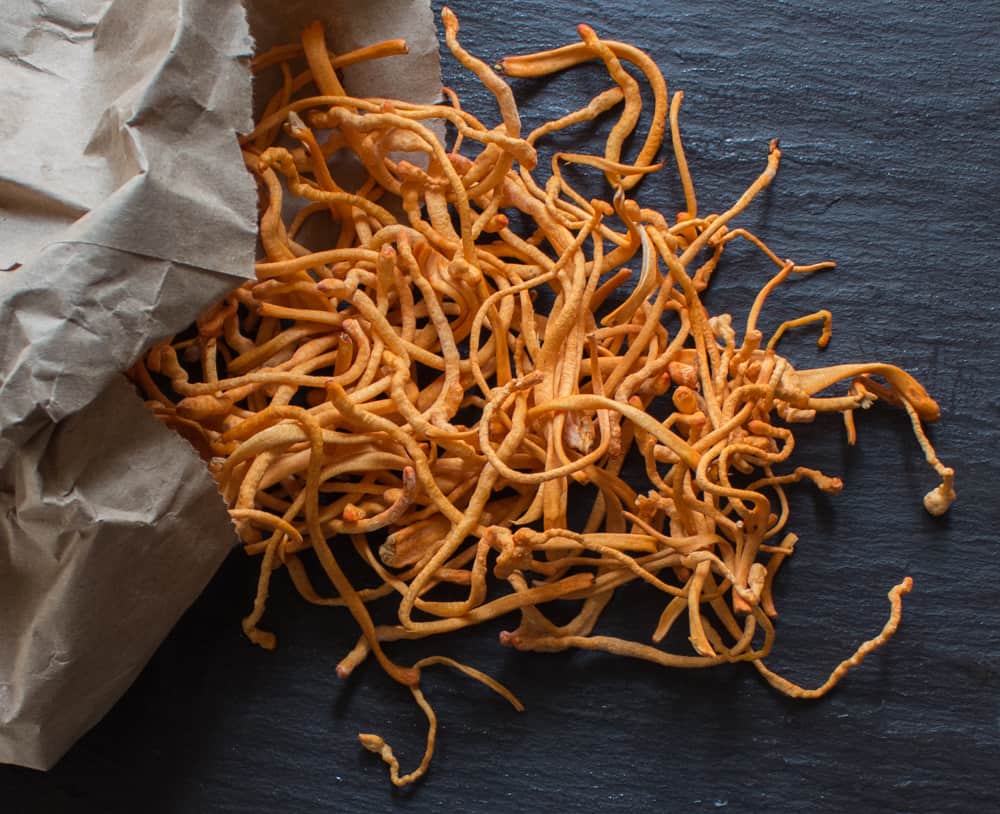 Medicinal Mushrooms | Cordyceps