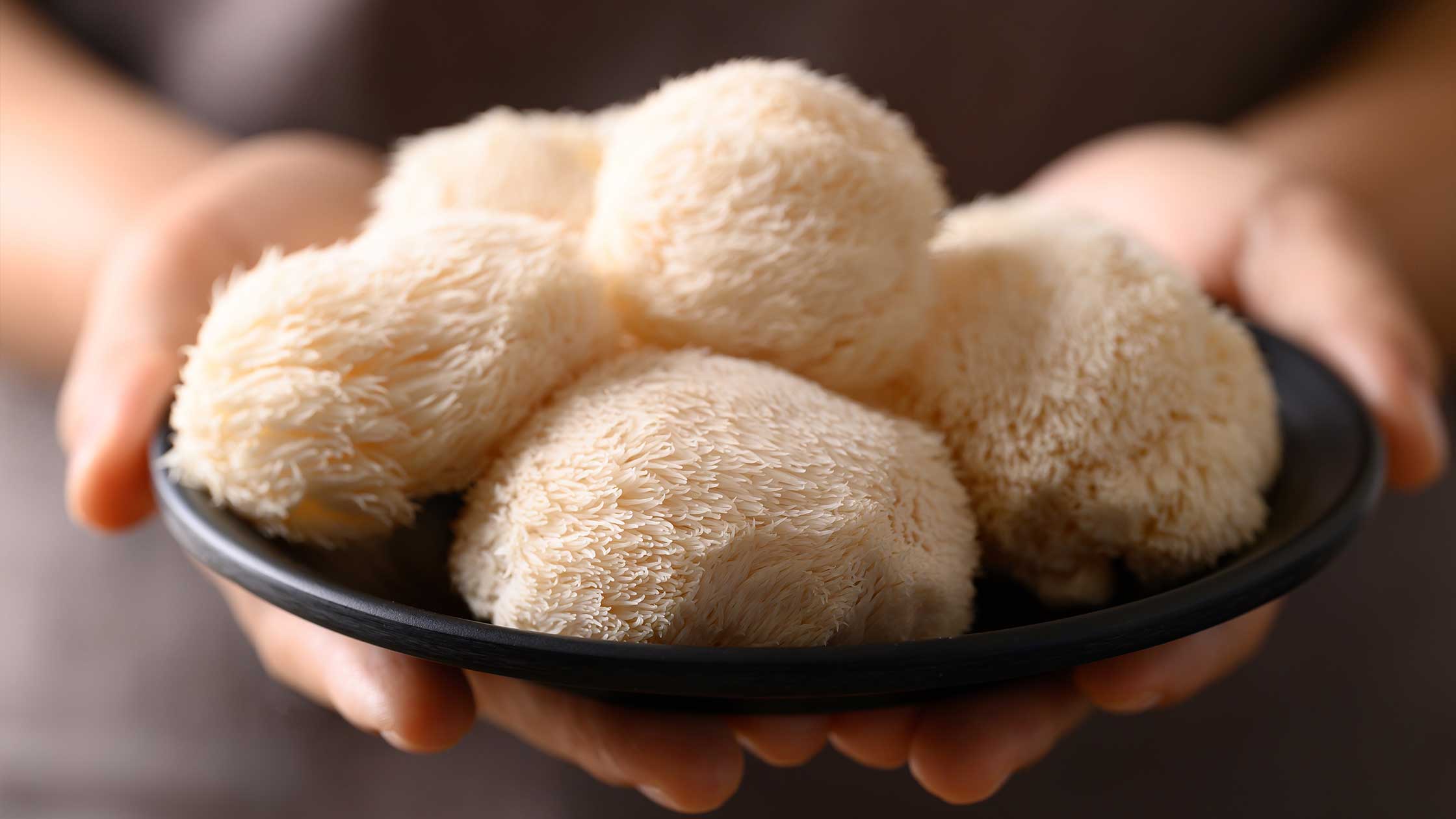 The Gut Health Revival: Why Mushrooms, Adaptogens, and a Hint of Hemp Might Be the Game-Changers Your Digestive System Needs