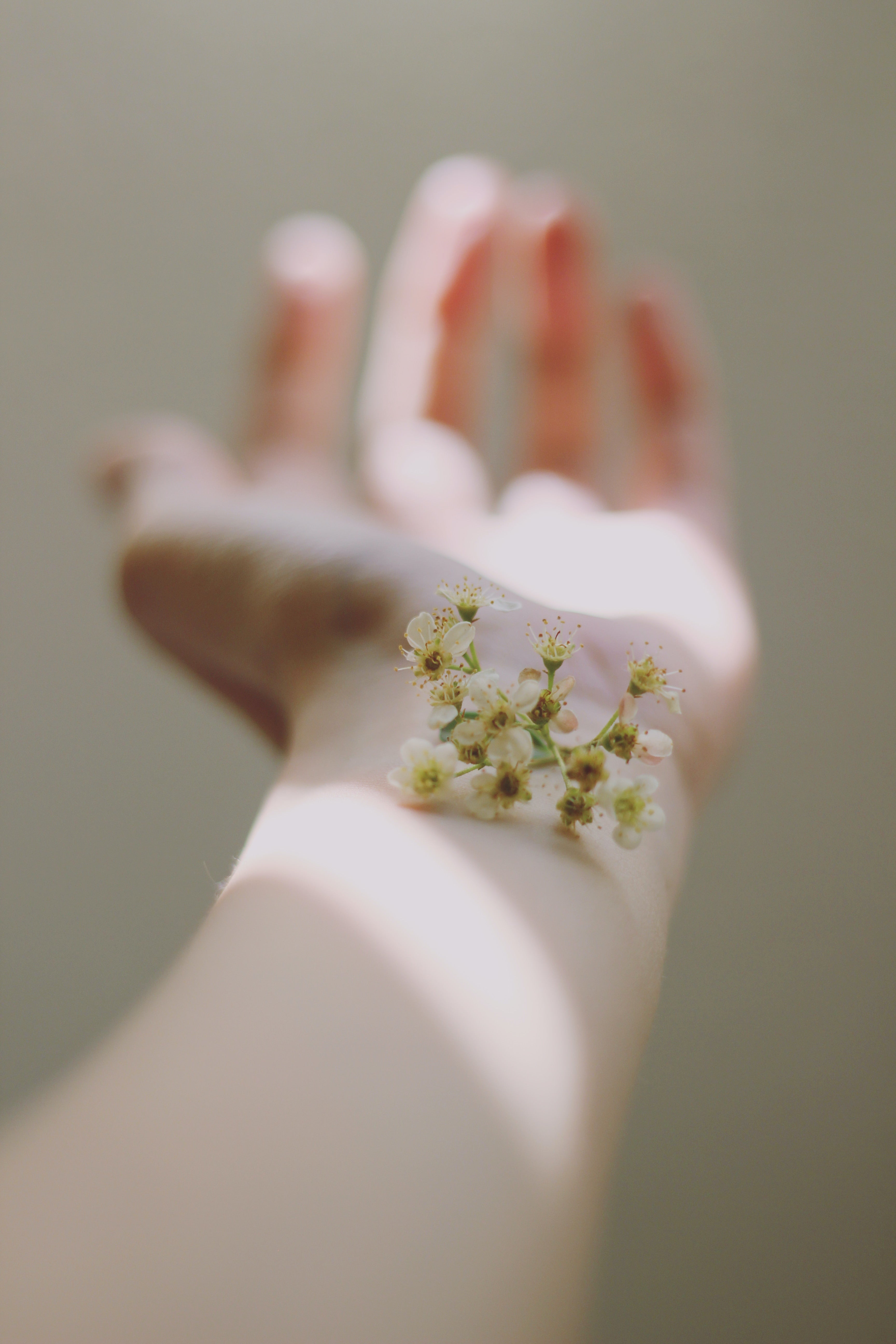 Flowers in Skincare