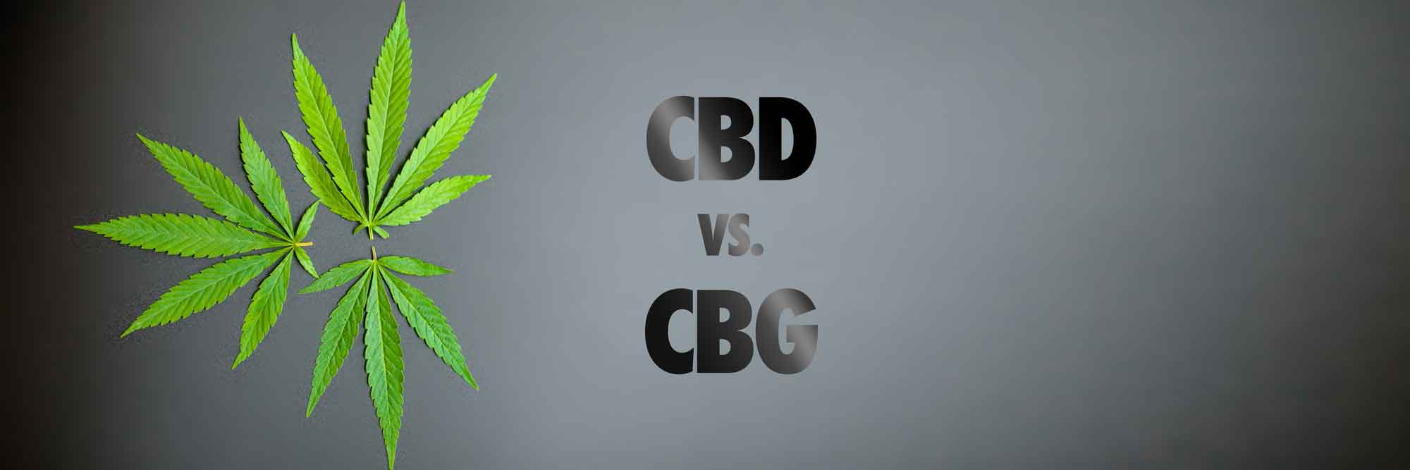 What’s the Difference? | CBD vs. CBG