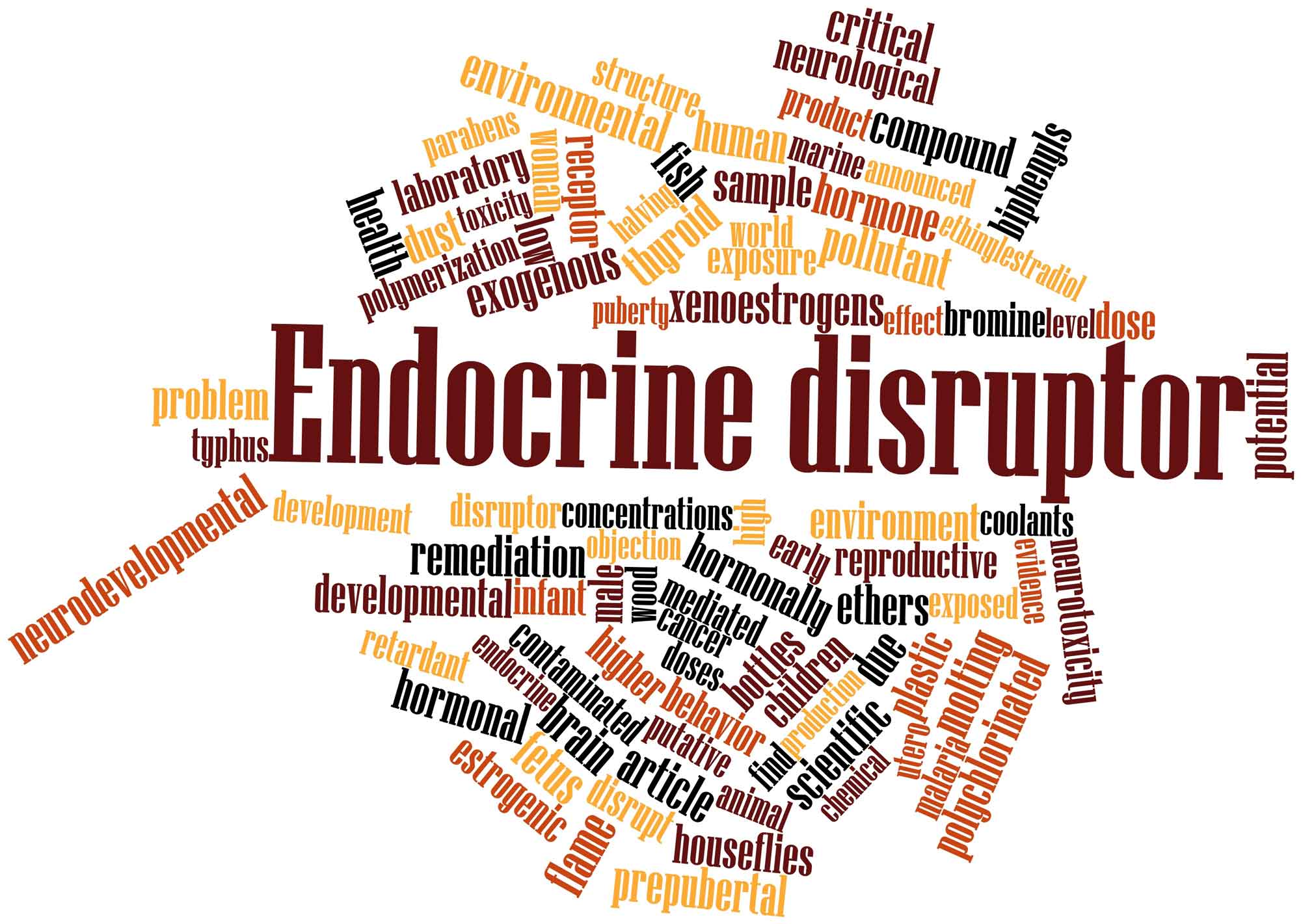 What Are Endocrine Disruptors & Why Do They Matter?
