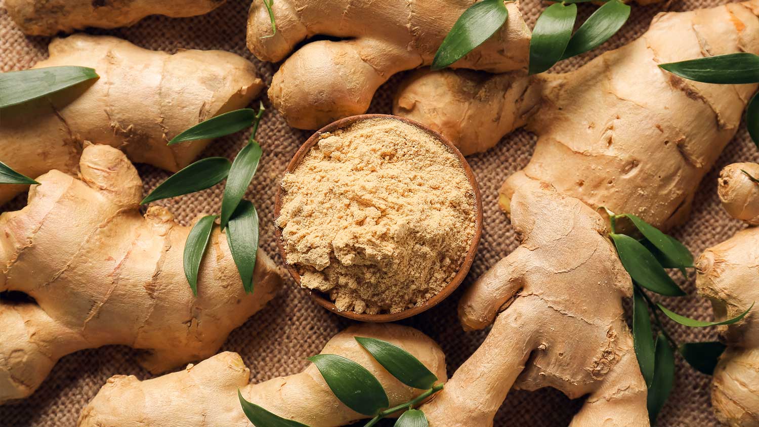 Ginger | The Almighty Herb That Needs No Introduction