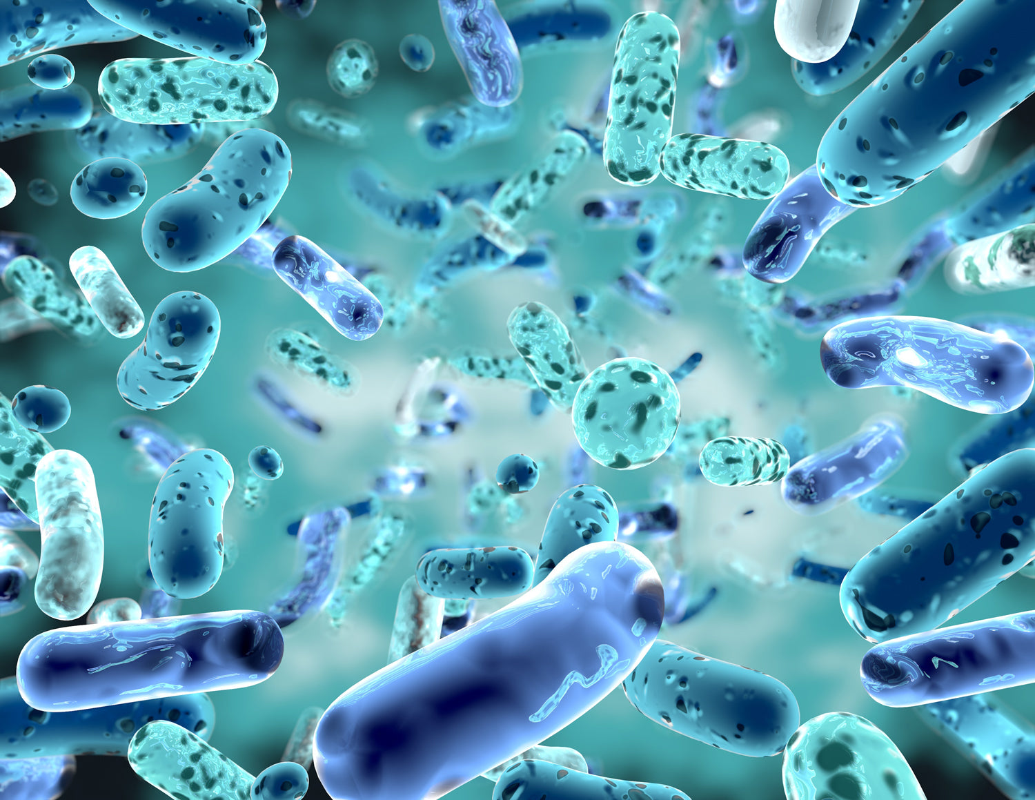 Prebiotics and Probiotics | What Are They, And Should I be Taking Them?